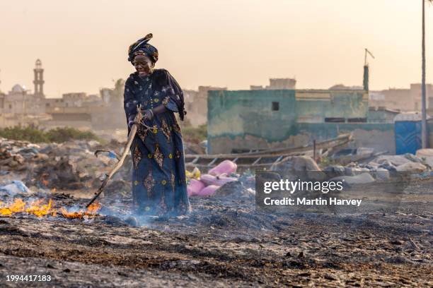 elderly black woman smoking small fish on the outskirts of the town in bargny gouddau, senegal - ugly black women ストックフォトと画像