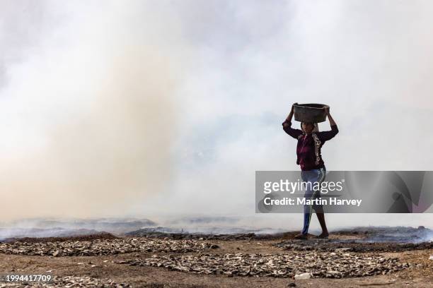black woman carrying a bucket of wood shavings used to smoke small fish on the outskirts of the town in bargny gouddau, senegal - senegal fish stock pictures, royalty-free photos & images