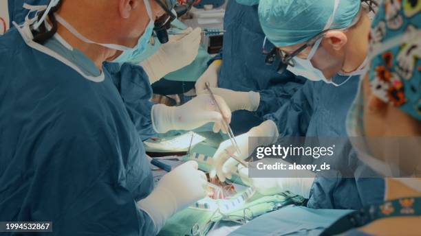 suturing the aortic valve ring - heart bypass stock pictures, royalty-free photos & images