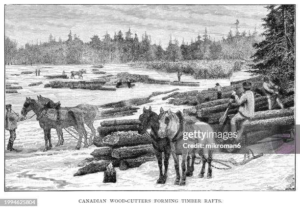 Timber Rafting Tools 366 Timber Raft Stock Photos, High-Res Pictures, and Images - Getty Images