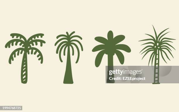 set hand drawn palm tree vector illustration - log isolated stock illustrations