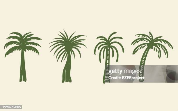 set hand drawn palm tree vector illustration - log isolated stock illustrations