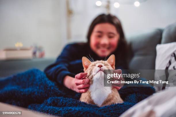 cheerful teenage girl scratching her ginger tabby cat’s face while sitting with blanket on sofa together at night. love and care for pets, enjoying bonding time with pet cats. - hairy asian stock pictures, royalty-free photos & images