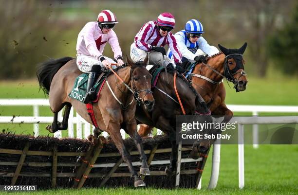 Meath , Ireland - 11 February 2024; Runners and riders, from left, Angostura, with Jack Kennedy up, Ascending, with Darragh O'Keeffe up, and Gaucher,...