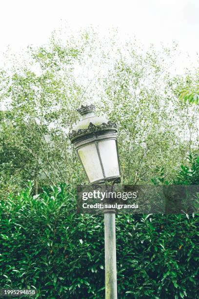 broken lamppost of classic design in a park - lámpara eléctrica stock pictures, royalty-free photos & images