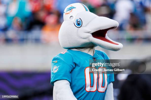 The Miami Dolphins mascot looks on during the 2024 NFL Pro Bowl at Camping World Stadium on February 04, 2024 in Orlando, Florida.