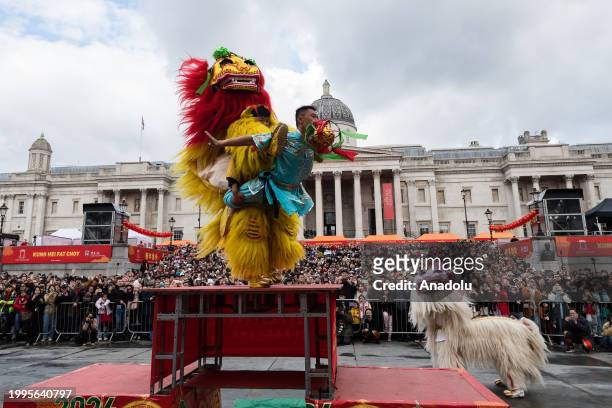 Chinese lion dancers perform in Trafalgar Square as part of the celebrations of Chinese New Year and the arrival of the Year of the Dragon in London,...