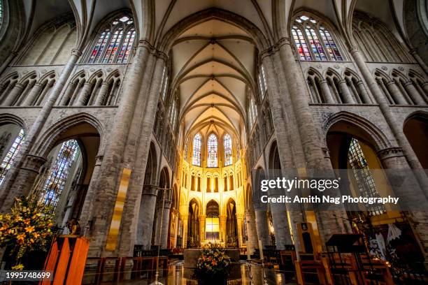 st. michael and st. gudula cathedral - royal palace brussels stock pictures, royalty-free photos & images