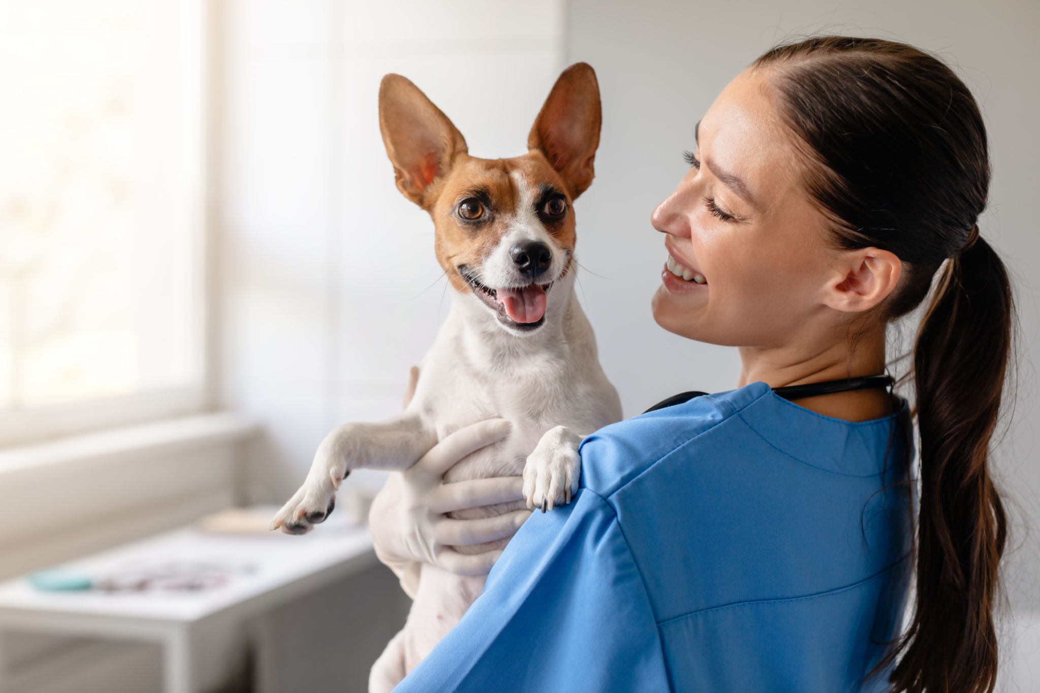 customer service pets
