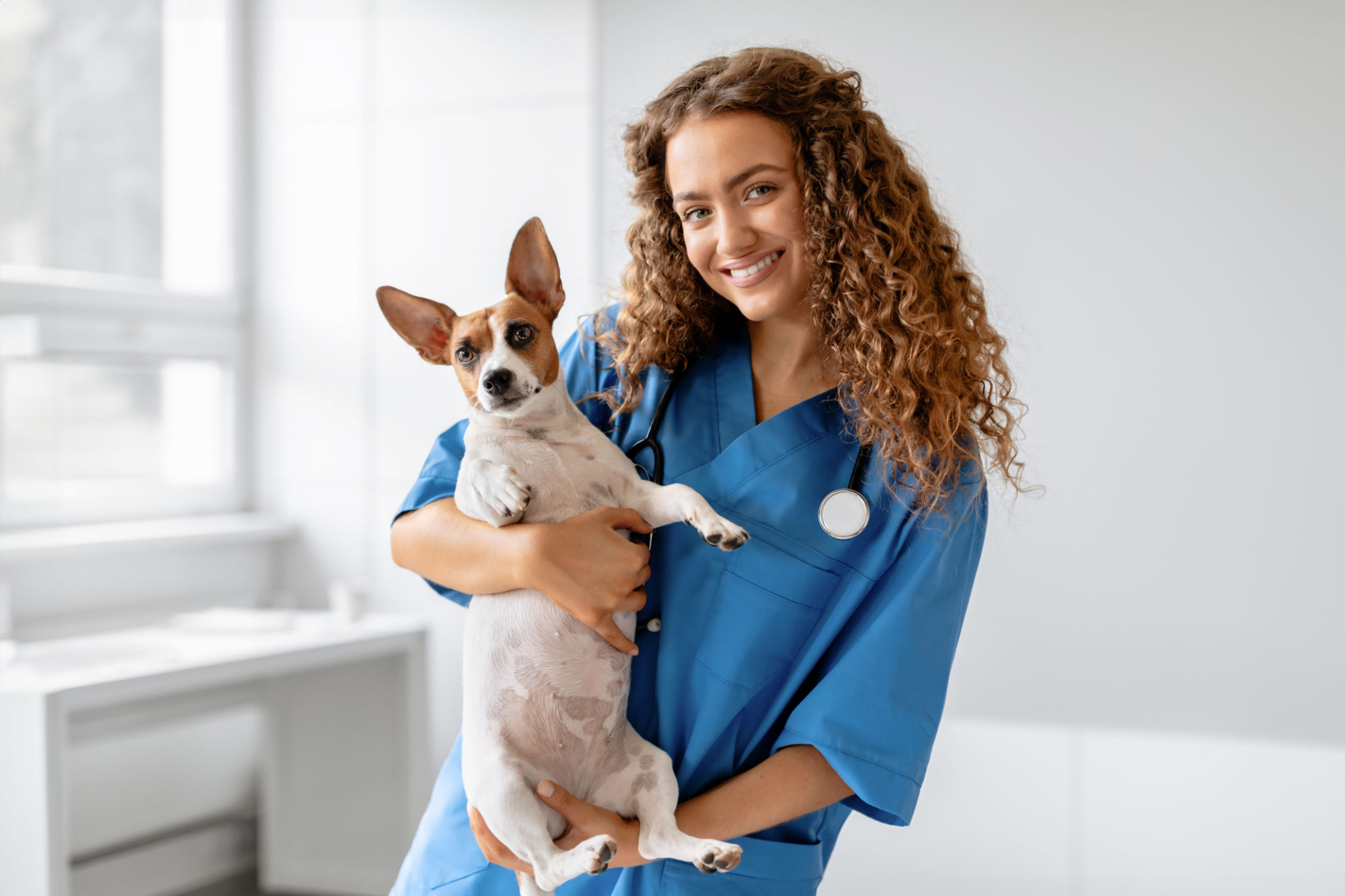 pet safety