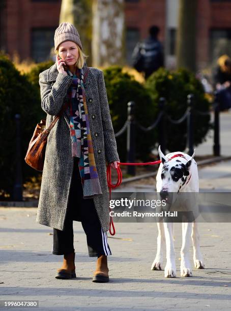 Naomi Watts is seen on set with a dog on February 08, 2024 in New York City.