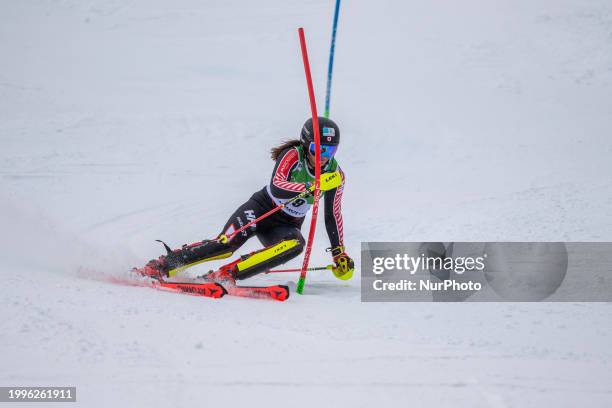 261 Ali Nullmeyer Photos & High Res Pictures Getty Images