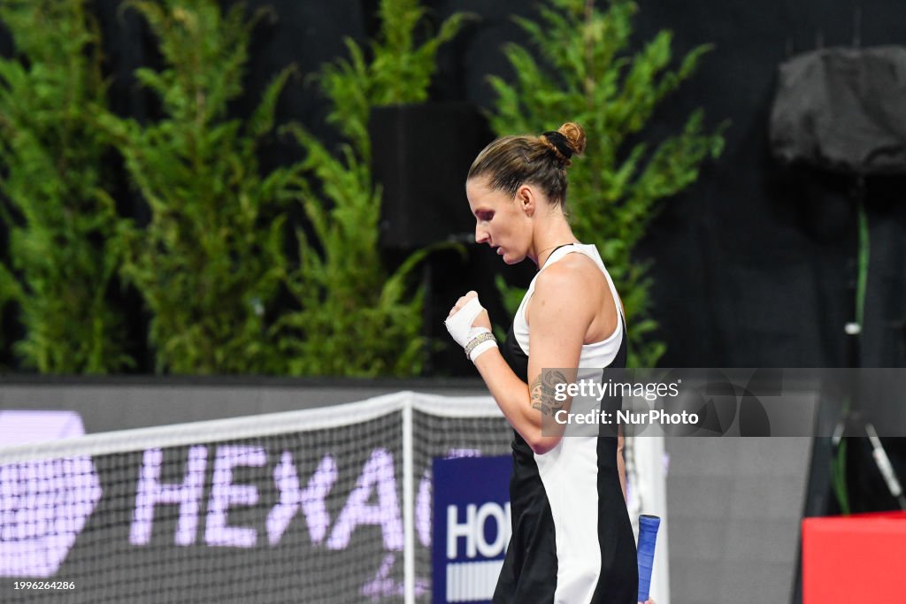 Transylvania Open 2024