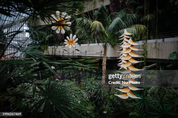 Plants are standing in the Barbican's Conservatory in London, England, on February 11, 2024.