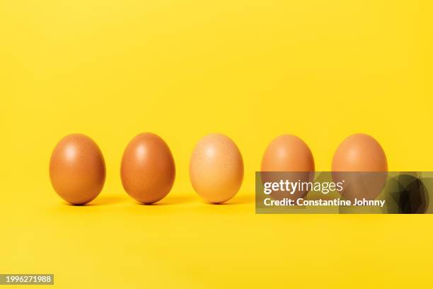 brown chicken eggs on yellow background - oeuf photos et images de collection