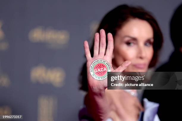 Valladolid, Spain; .- Ana Belen, Spanish singer and actress during the red carpet of the Goya Awards. Characters on the Red Carpet of the Goya Awards...