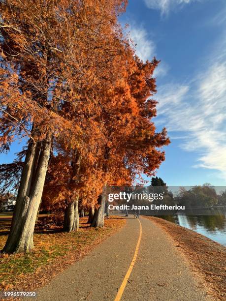 517 Peace Park Seattle Stock Photos, HighRes Pictures, and Images