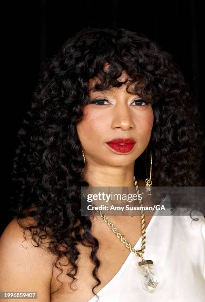 Monique Coleman attends the Los Angeles premiere of National Geographic documentary series "Queens" at Academy Museum of Motion Pictures on February...