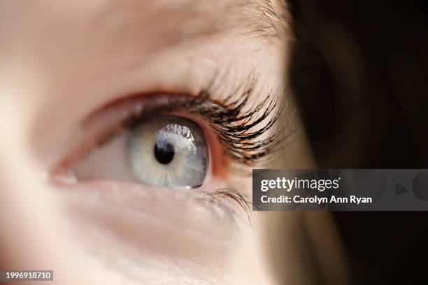 close-up of single blue eye - blue eyes stock pictures, royalty-free photos & images