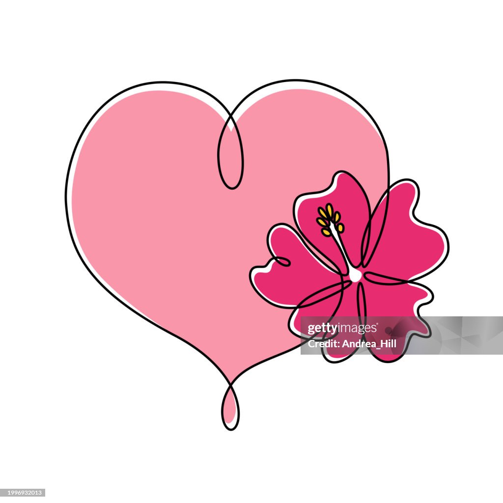 Heart continuous thin line drawing with hibiscus flower in bright pink colors