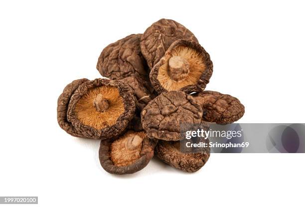 from farm to kitchen: nutritious dried shiitake mushrooms for healthy cooking adventures - shiitake mushroom stock pictures, royalty-free photos & images