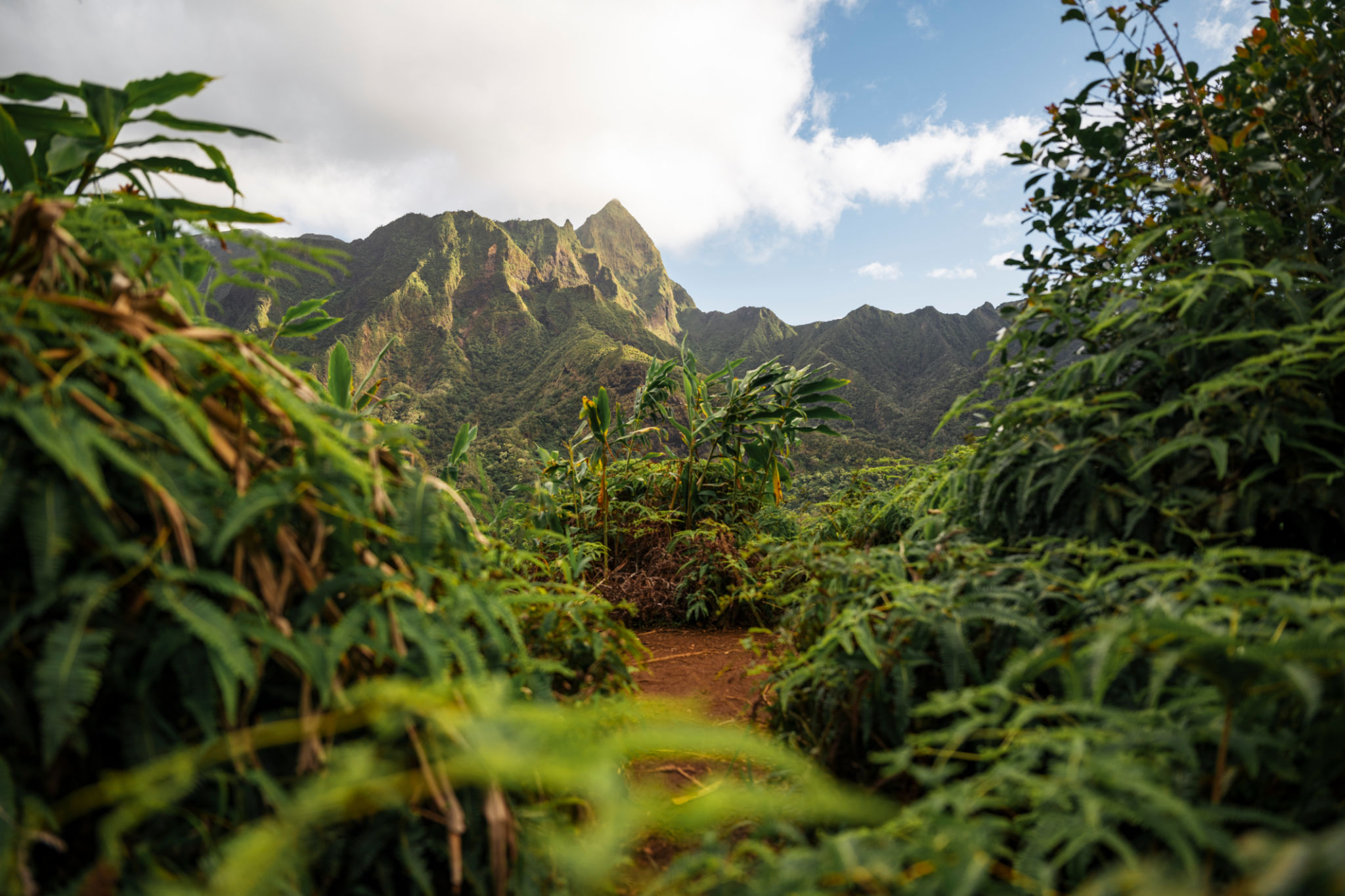 hawaiian filmmakers