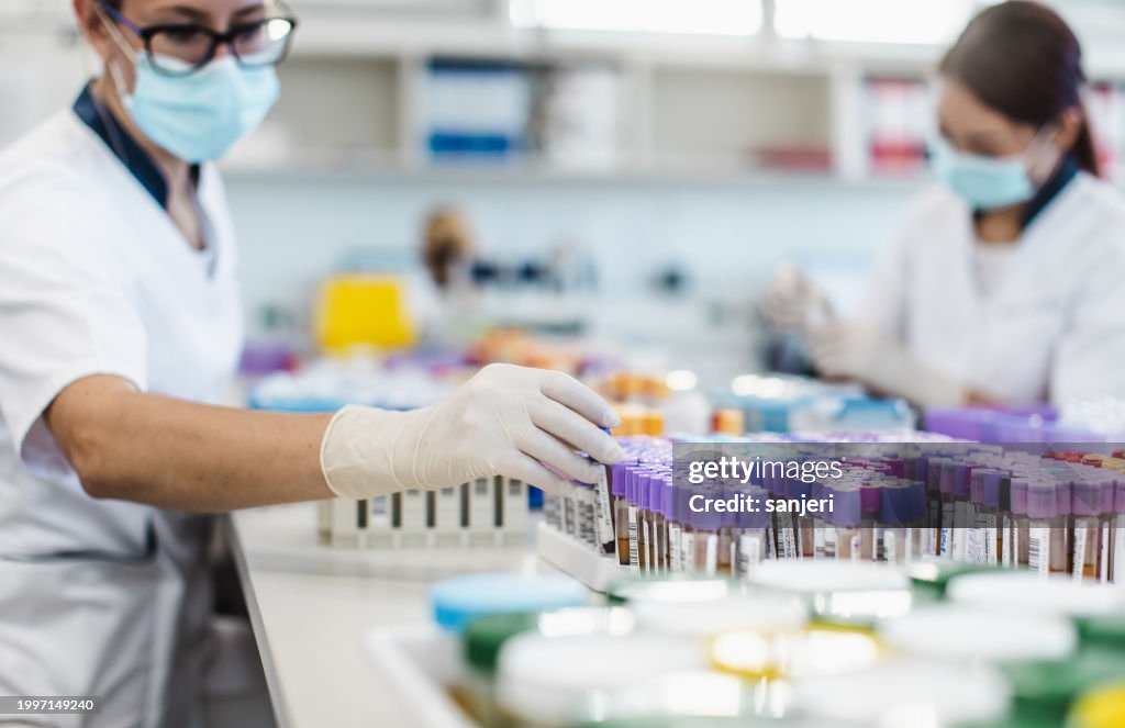 Scientists working in the laboratory