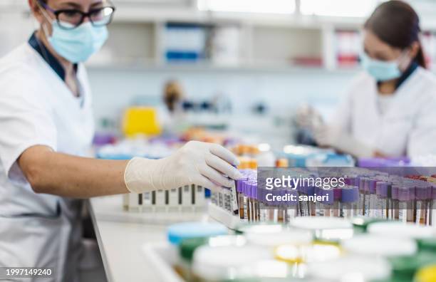scientists working in the laboratory - epidemiology research stock pictures, royalty-free photos & images