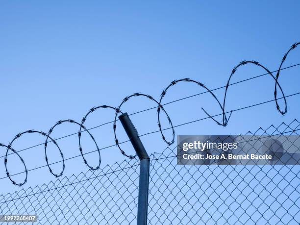 close-up of metal fence with barbed wire on a sunny blue sky. - border free stock pictures, royalty-free photos & images