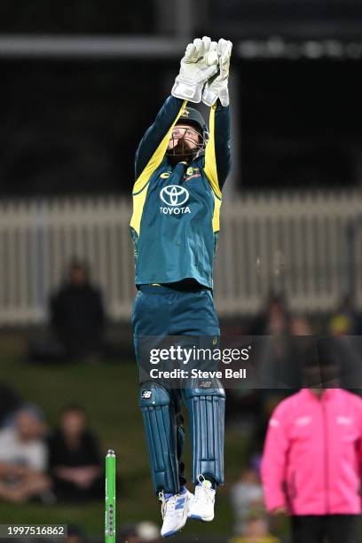Matthew Wade of Australia fields the ball during game one of the Men's T20 International series between Australia and West Indies at Blundstone Arena...