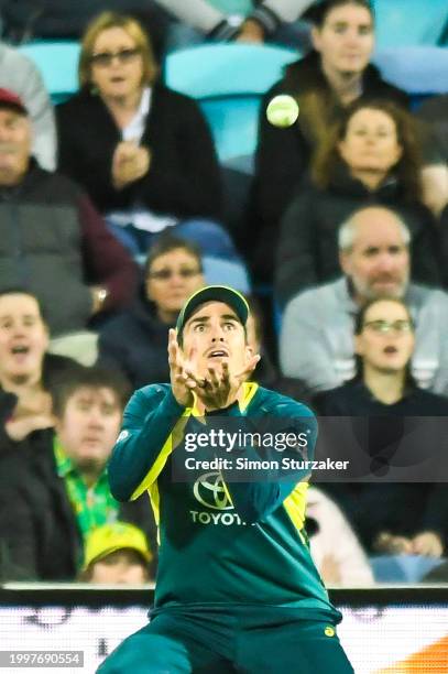 Sean Abbott of Australia takes a catch during game one of the Men's T20 International series between Australia and West Indies at Blundstone Arena on...