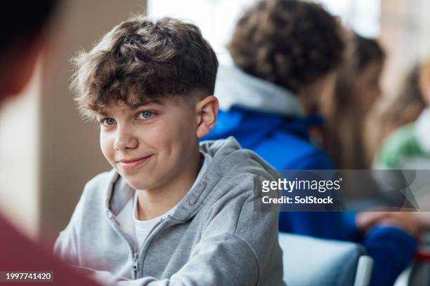 a happy young boy - brown hair blue eyes and dimples stockfoto's en -beelden