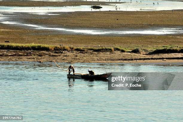 egypt, fishermen in boat on the nile - transport nautique fotografías e imágenes de stock