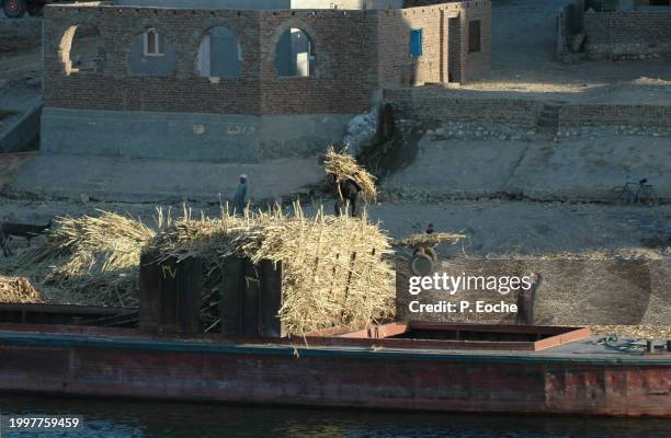 egypt, boat on the nile discharging sugar cane - transport nautique stock pictures, royalty-free photos & images