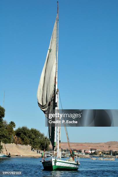 egypt, felucca, traditional and ancestral sailboat on the nile - transport nautique fotografías e imágenes de stock