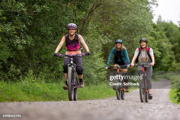 enjoying nature with friends on mountain bikes - forest stock pictures, royalty-free photos & images
