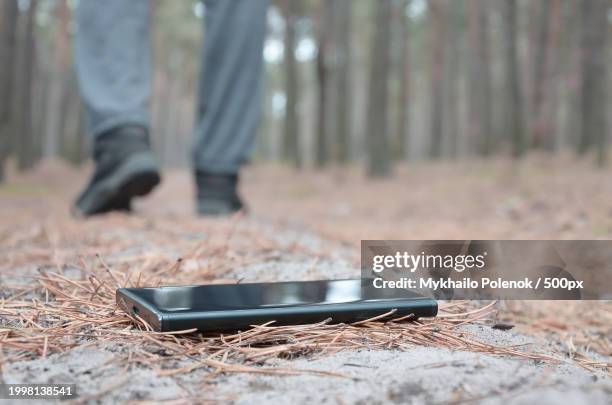 low section of person using mobile phone in forest - parte inferior - fotografias e filmes do acervo