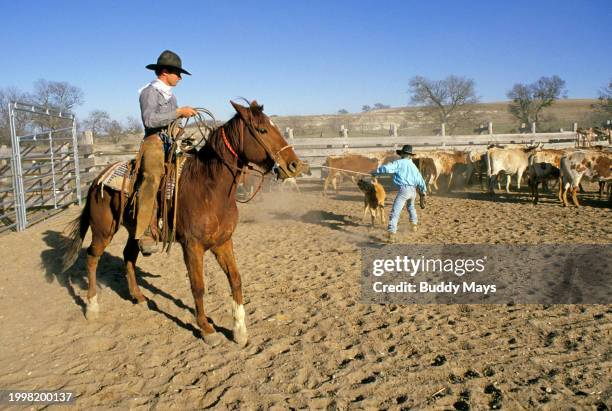 25,482 Cowboy Chaps Stock Photos, High-Res Pictures, and Images - Getty ...