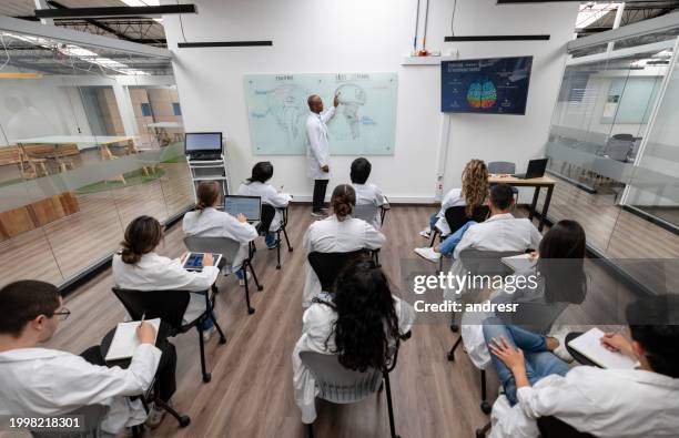 gruppe von studierenden in einem anatomiekurs an der medizinischen fakultät - medizinische fakultät stock-fotos und bilder