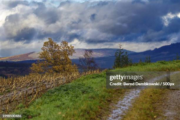 scenic view of field against sky - bernd dembkowski stock-fotos und bilder