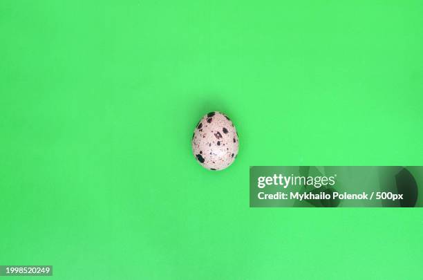 directly above shot of green easter egg on green background - pascoa stock-fotos und bilder