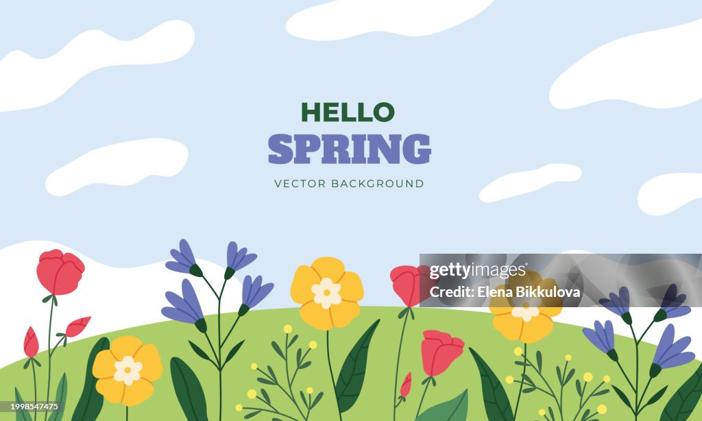 Spring Time Background Hill Covered By Flowers And Leaves High-Res ...
