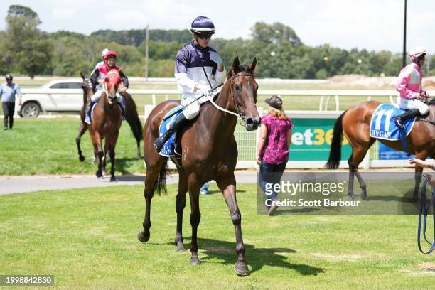 Noyers ridden by Jordan Childs returns to the mounting yard after winning the bet365 Protest Promise Maiden Plate at Kyneton Racecourse on February...