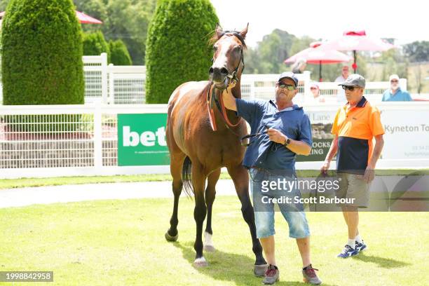 Lucky Compass after winning the Organs Coaches Maiden Plate at Kyneton Racecourse on February 13, 2024 in Kyneton, Australia.
