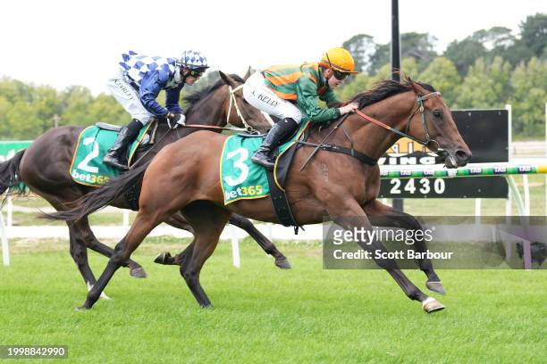 Lucky Compass ridden by Alana Kelly wins the Organs Coaches Maiden Plate at Kyneton Racecourse on February 13, 2024 in Kyneton, Australia.