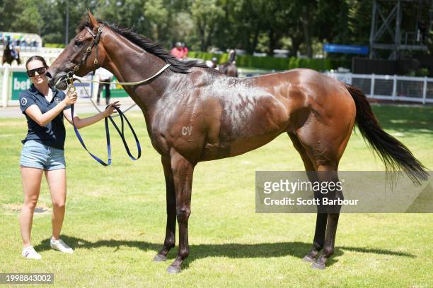 Noyers after winning the bet365 Protest Promise Maiden Plate at Kyneton Racecourse on February 13, 2024 in Kyneton, Australia.