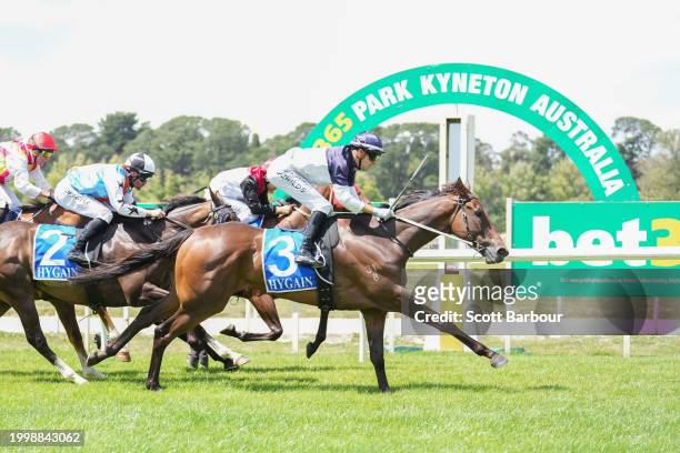 Noyers ridden by Jordan Childs wins the bet365 Protest Promise Maiden Plate at Kyneton Racecourse on February 13, 2024 in Kyneton, Australia.