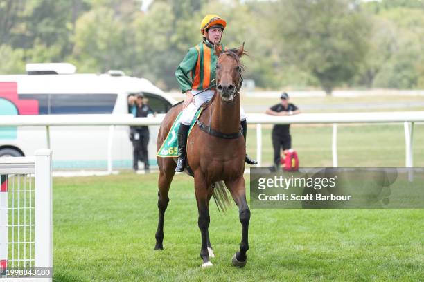 Lucky Compass ridden by Alana Kelly returns to the mounting yard after winning the Organs Coaches Maiden Plate at Kyneton Racecourse on February 13,...