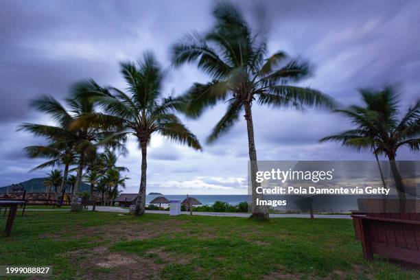 smooth sky at sunset on a beach in brazil - paradisaeidae stock pictures, royalty-free photos & images
