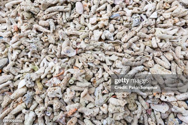 Dead Rocl Dead Rock Photos and Premium High Res Pictures - Getty Images